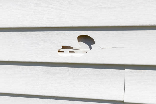 Best Custom Siding Design  in Las Cruces, NM